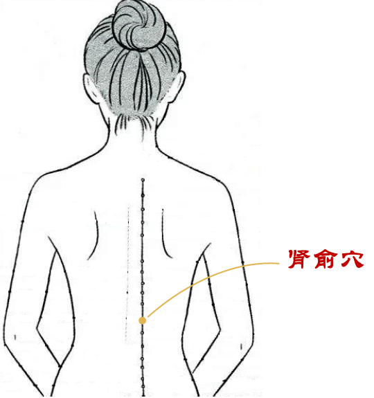 4,肾俞穴——减少身体浮肿