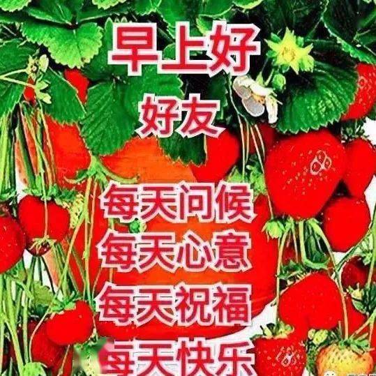 中老年表情包,不管距离多远,我就是祝福你一下!早安