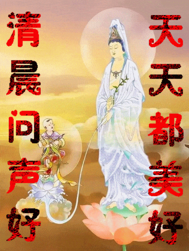 602_800 竖版 竖屏