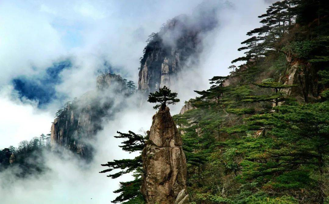 快来黄山旅游,清凉"一夏"!| 上海歆克勒