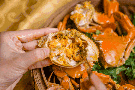 450_300gif 动态图 动图