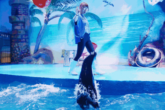 沿着长长的海底隧道一路前行 还会遇到各种各样可爱的鱼群  好像一