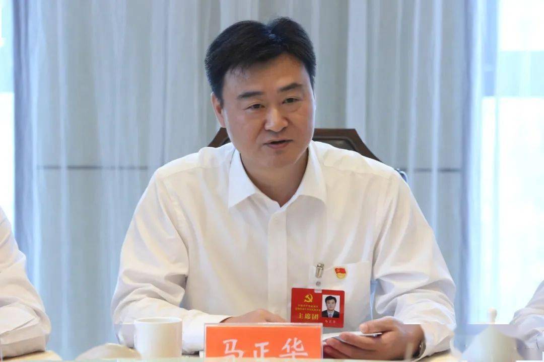 王娟,马正华参加党代会代表团分组审议