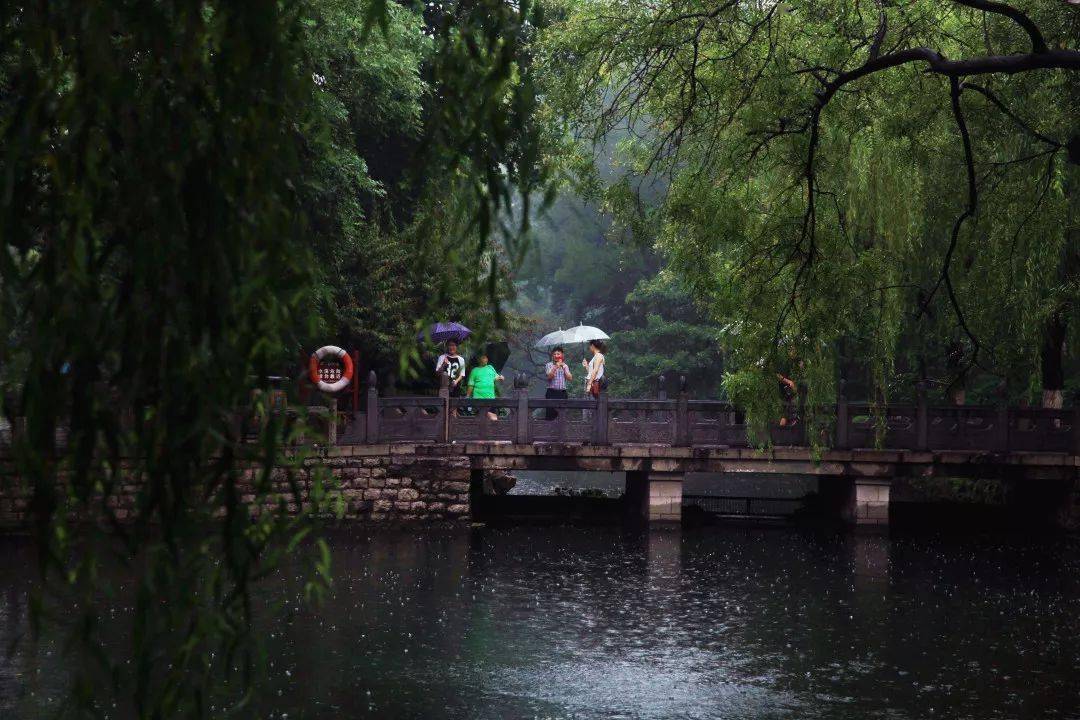 雨后众泉撒欢啦雨中的趵突泉公园你知道多美吗