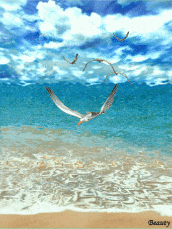 346_461 竖版 竖屏