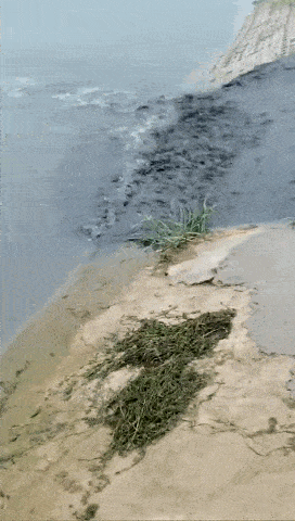 272_480 竖版 竖屏