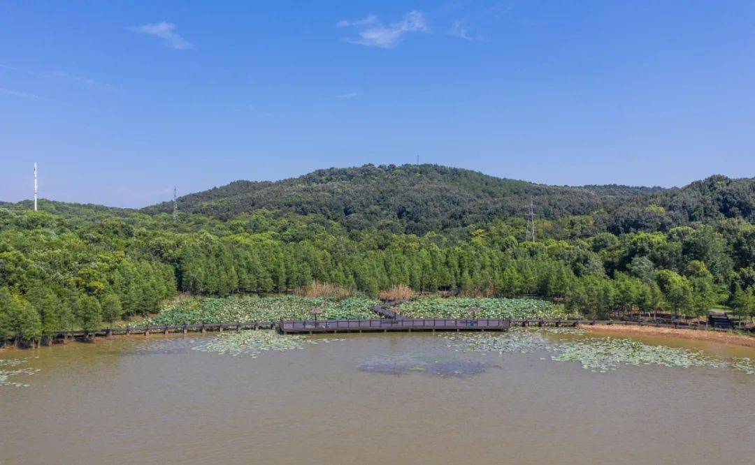 龙灵山景区顺利通过国家4a级旅游景区质量景观评审