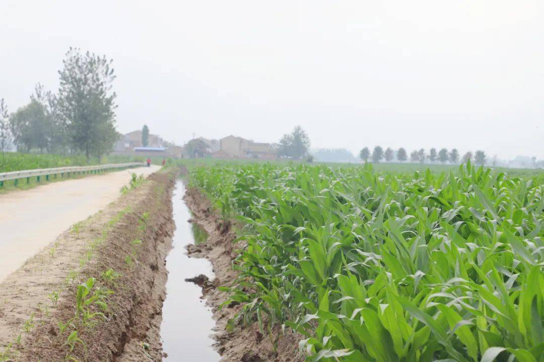 相关负责同志情况介绍,实地察看,点对点询问等方式详细了解农田排水