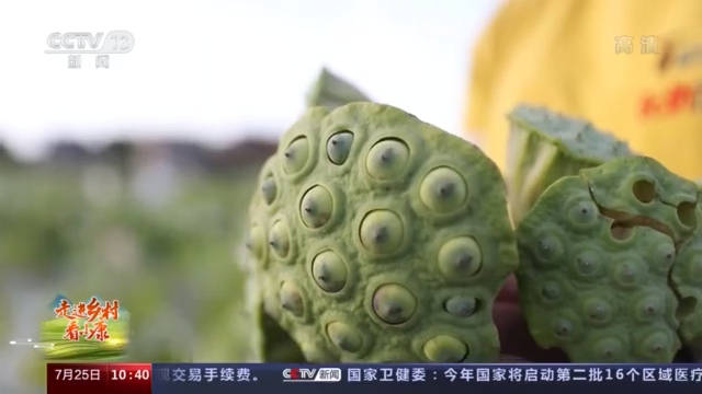 芜湖|走进乡村看小康丨荷花做成的美食你吃过吗？记者带你体验安徽芜湖菡萏宴