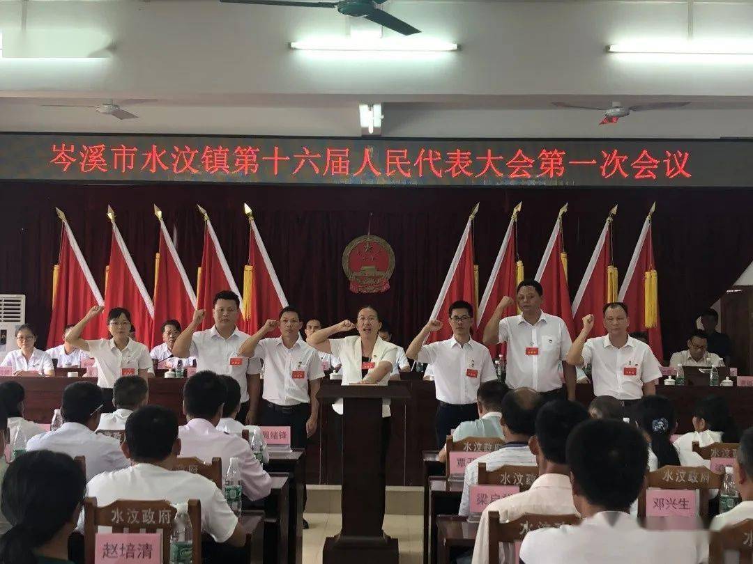 我市各镇陆续召开新一届人大一次会议_岑溪市