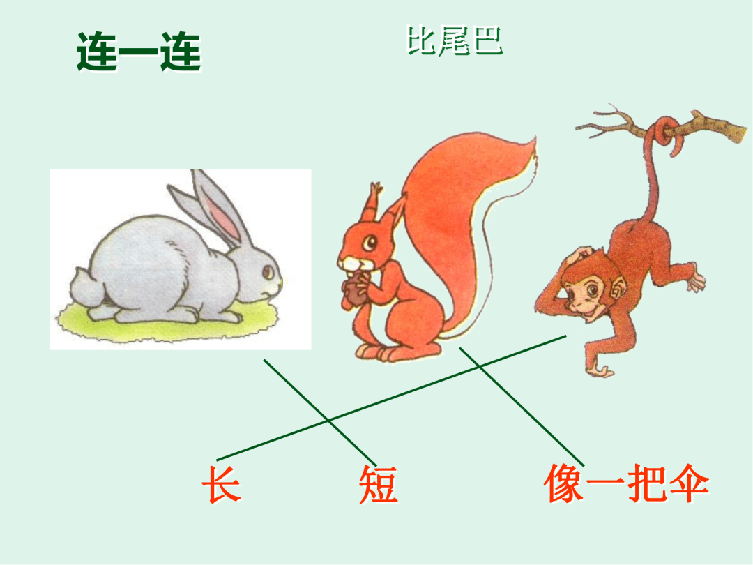 教学设计ppt比尾巴