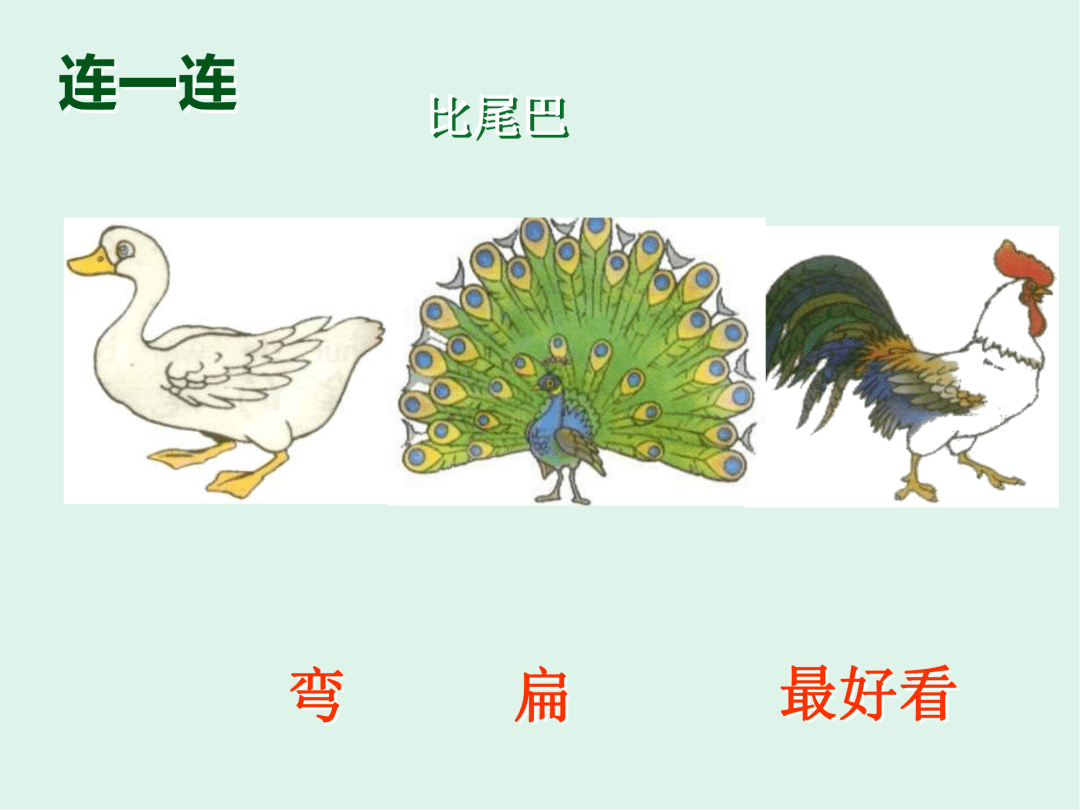 【教学设计ppt】比尾巴
