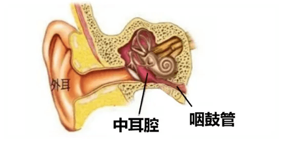 明明是耳朵不舒服,为何要使用滴鼻剂?