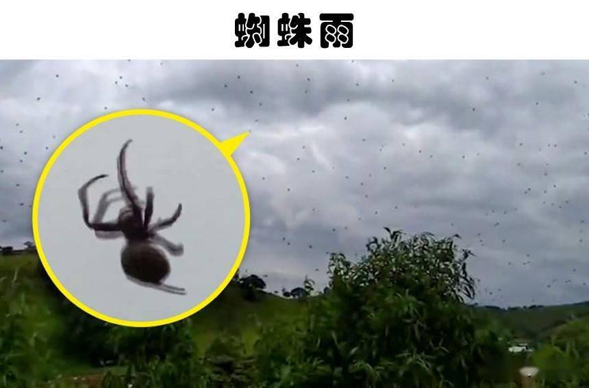 天空中下起"蜘蛛雨"是什么体验?世界上存在的6个神秘的事情