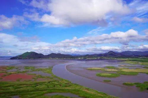 韩国getbol滩涂湿地申遗成功 | 周晋峰与全球50多名专家曾联署信函致