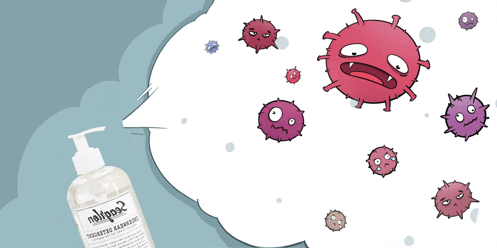 出色的抗菌性来源于萜烯,它是一种能消灭坏细菌的白马王子.