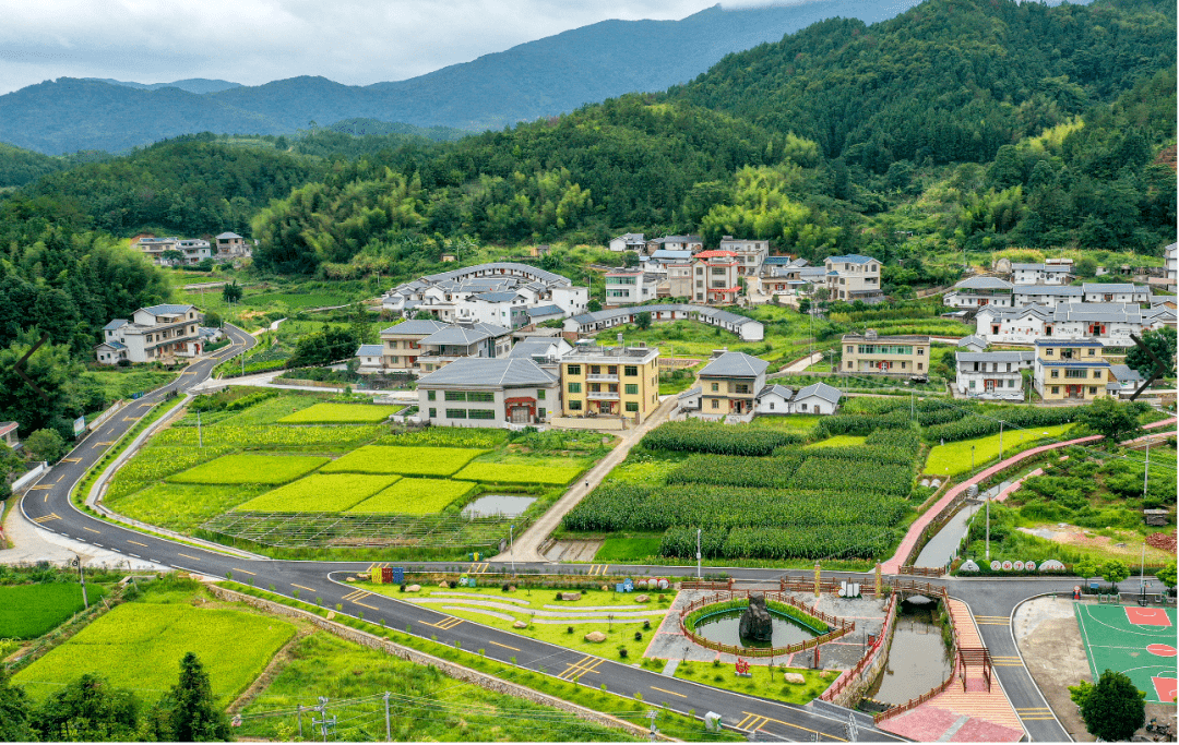 梅州:扮靓客都绿水青山,铺筑乡村振兴大道