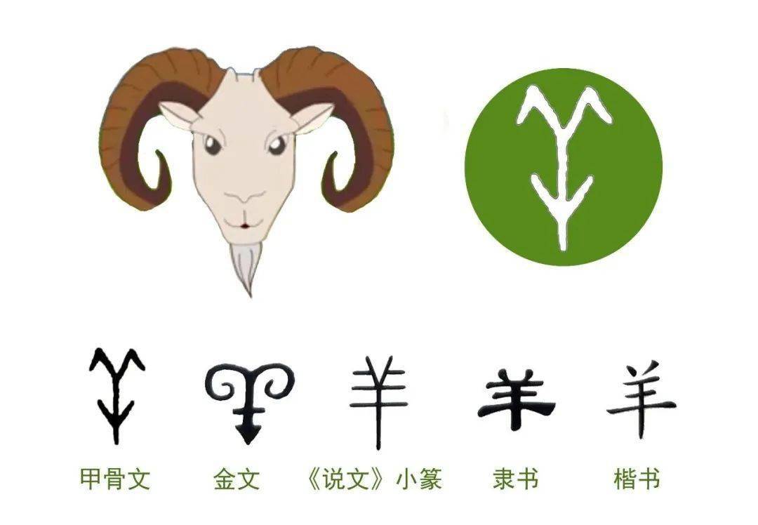 "羊"是一个象形字.