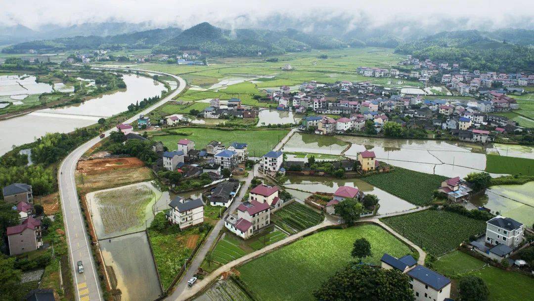 闽北美景|浦城忠信镇:雨后清晨 醉美田野 一幅绿色生态画卷缓缓展开