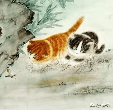 画猫仔,他是专家,没意见吧_米春茂