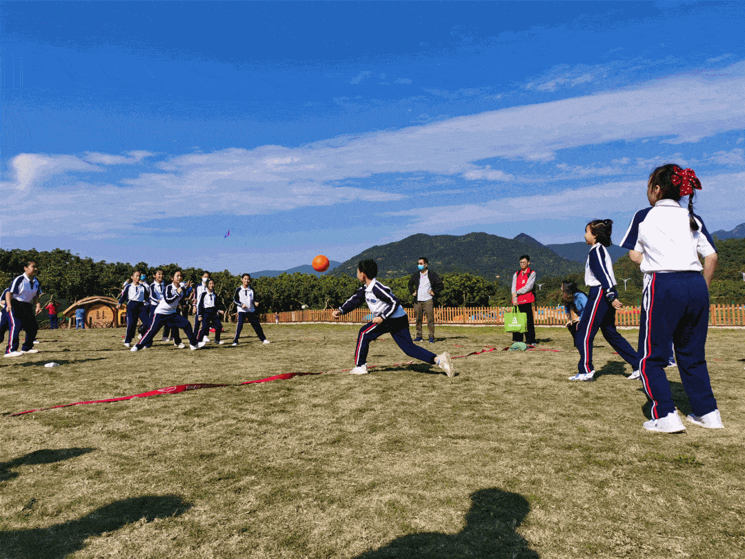 龙眼现摘免费吃,20 项特色游乐,350 亩户外农场撒欢,全家开启阳光之行