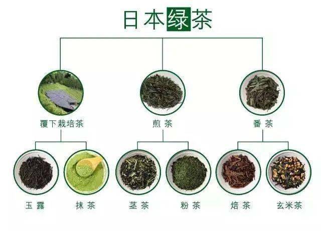 日本茶文化:唐宋遗风 茶韵悠悠_茶叶