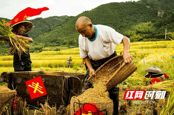 农民大丰收(资料图)