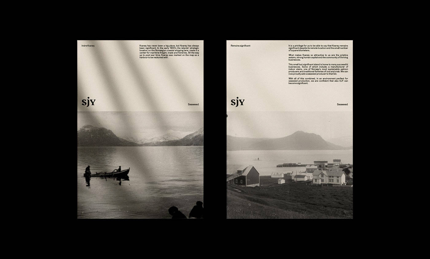 Seaweed|平面设计 | Sjy Seaweed 海藻素食品牌形象设计