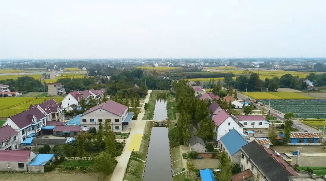 最美乡村南通如皋让田园变公园