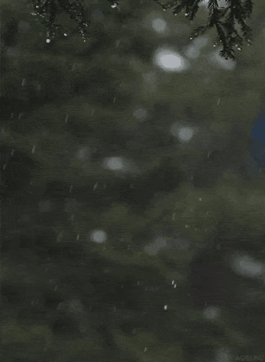 贵阳下雨啦!本周将以持续性强降水天气为主