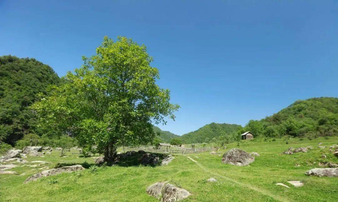 开启"云旅游"模式,留坝美景不容错过_狮子沟