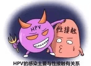 注意男性也会感染hpv甚至可能患癌还不知道这些知识就晚了