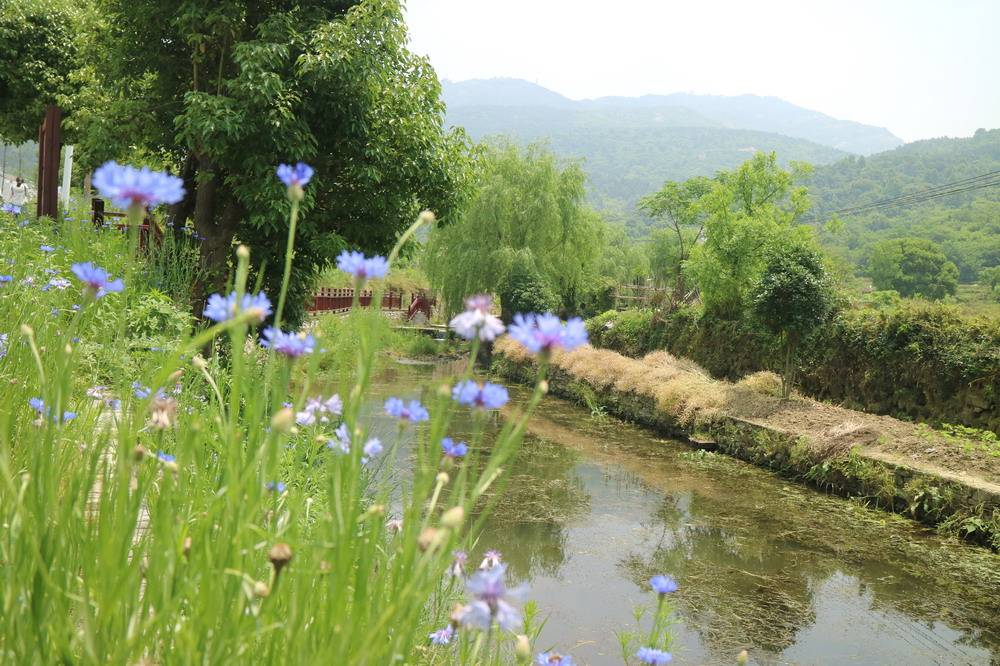 画室|你们在城里忙 我去乡村看间农家闲置房