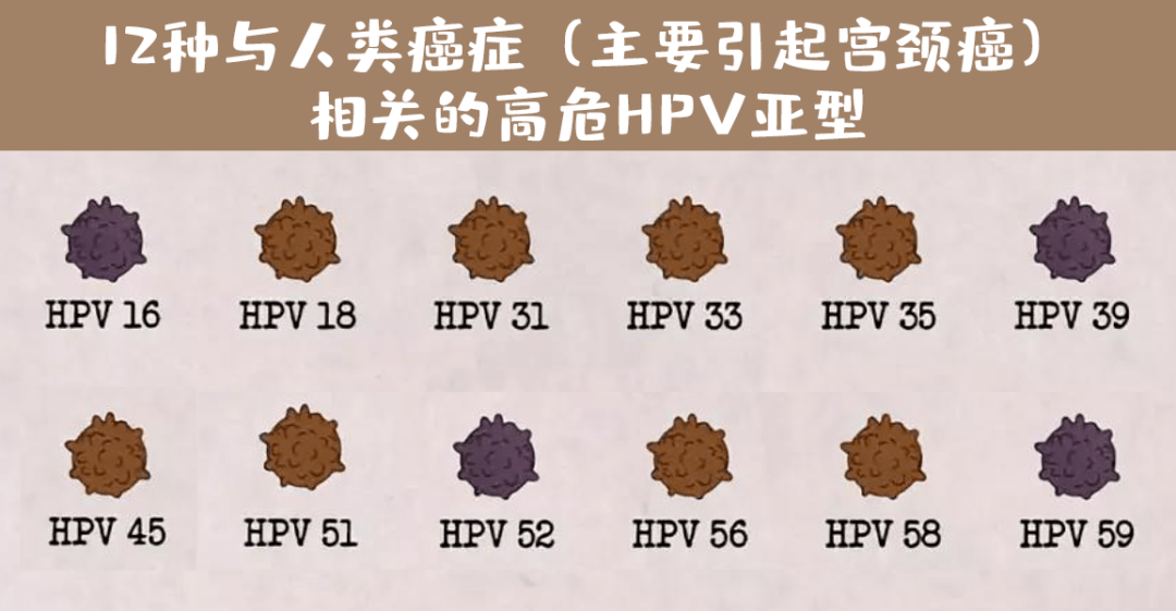 七夕爱她就为她预约hpv疫苗