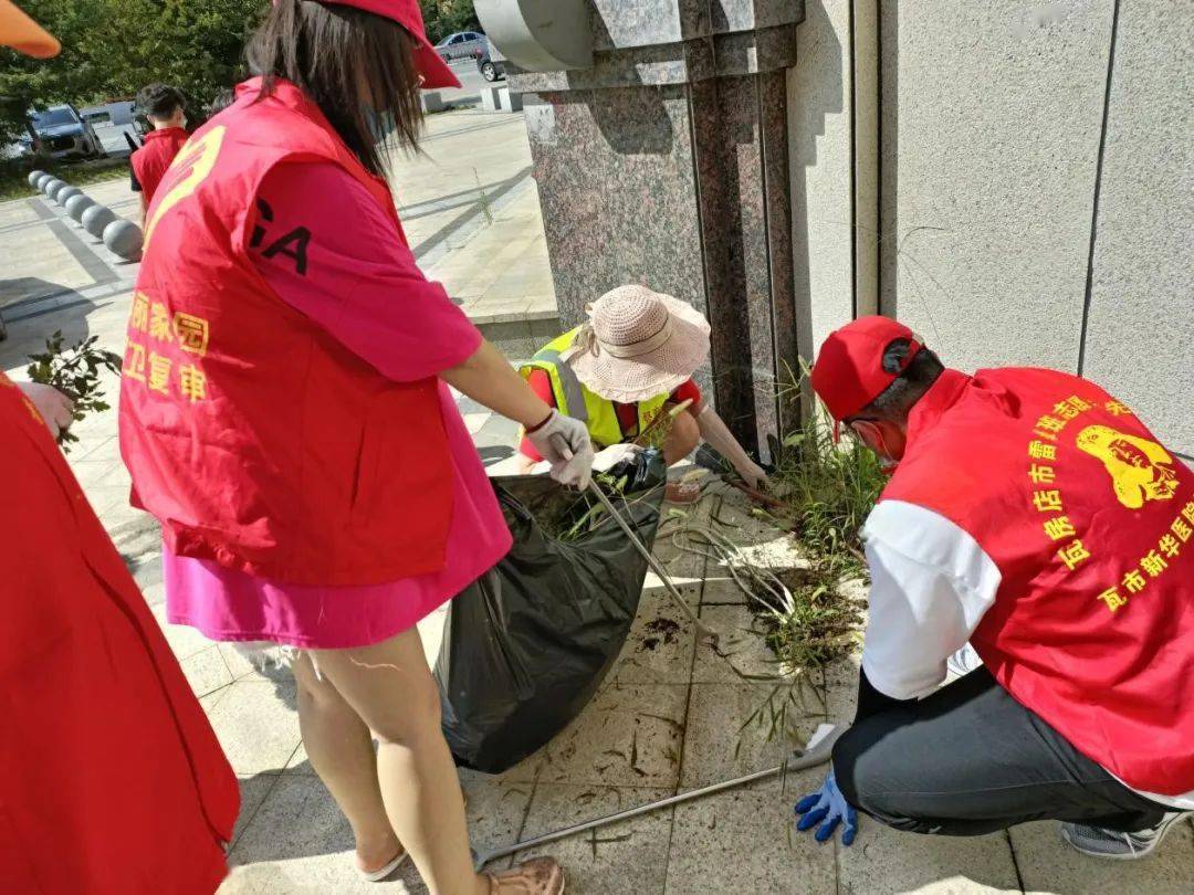 城乡环境综合整治大学生志愿者走在前