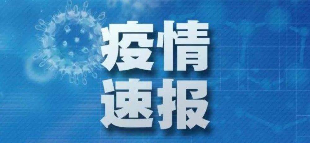 感染者|福建8月15日新增境外输入确诊病例4例