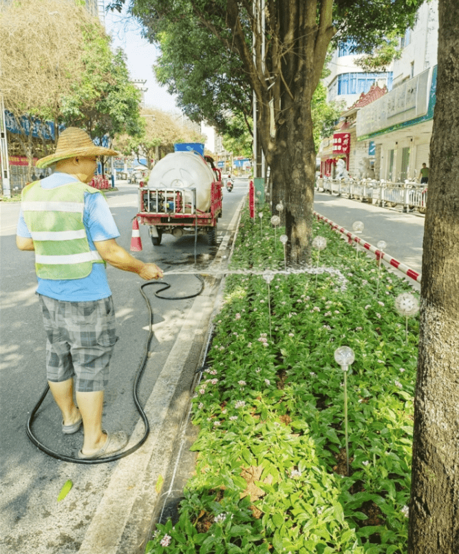 图为工作人员在给绿化苗木浇水.