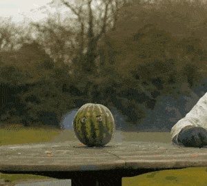 汪峰老师系内娱风向标,爆瓜准确率连章子怡都惊,网友关注点完全不在