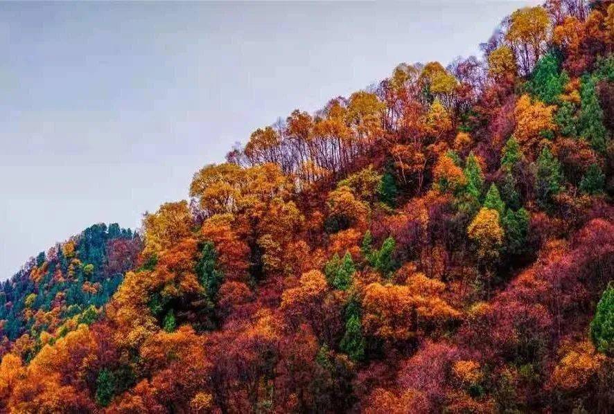 天堂寺景区