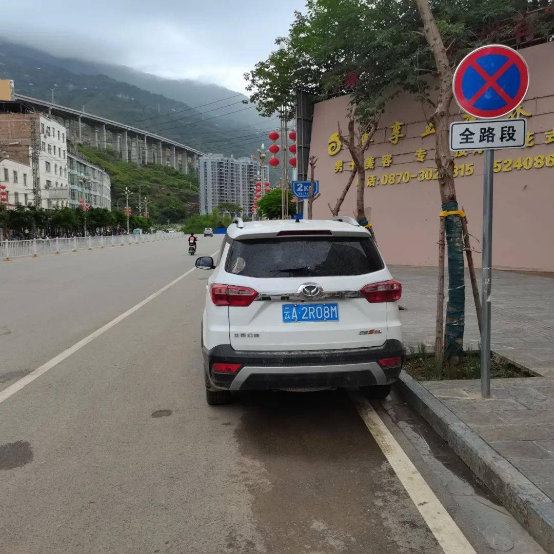 违法行为:机动车违反禁止停车标志指示停车的违法地点:巧家县堂琅