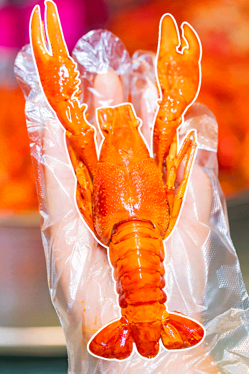 800_1200 竖版 竖屏