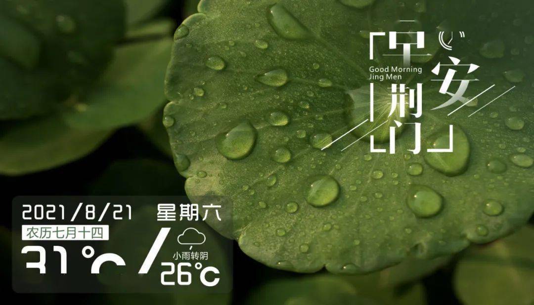 早安荆门〔2021.8.21〕丨东宝设立疫情防控工作咨询/.