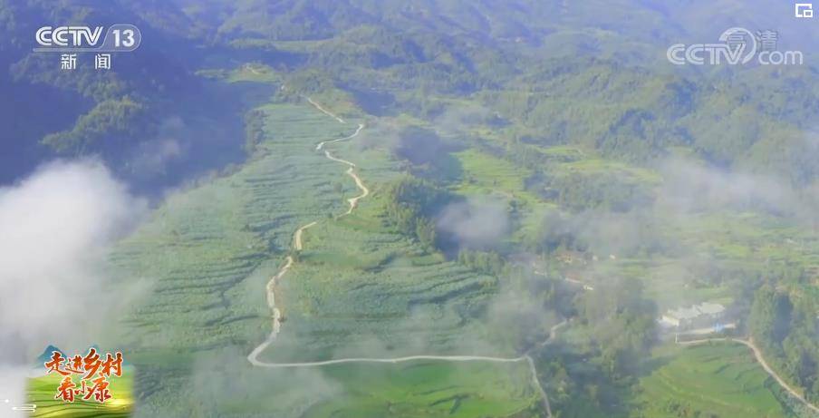 福建|【走进乡村看小康】福建建宁：水清山秀建莲美 赏花旅游促增收