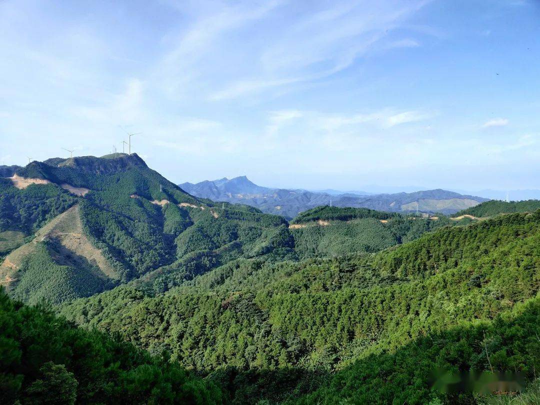 四 项目建设规模及内容 项目拟将原平天山森林公园谭坪护林站,茶山