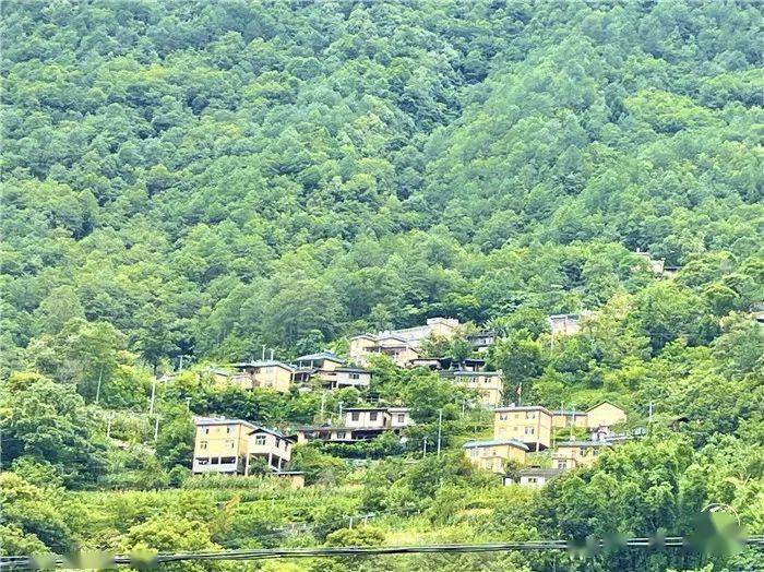 贡山县茨开镇:产业为"枝干" 文明作"叶花" 培育民族共荣之树