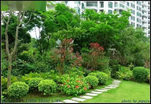 软景微地形植物配置护坡