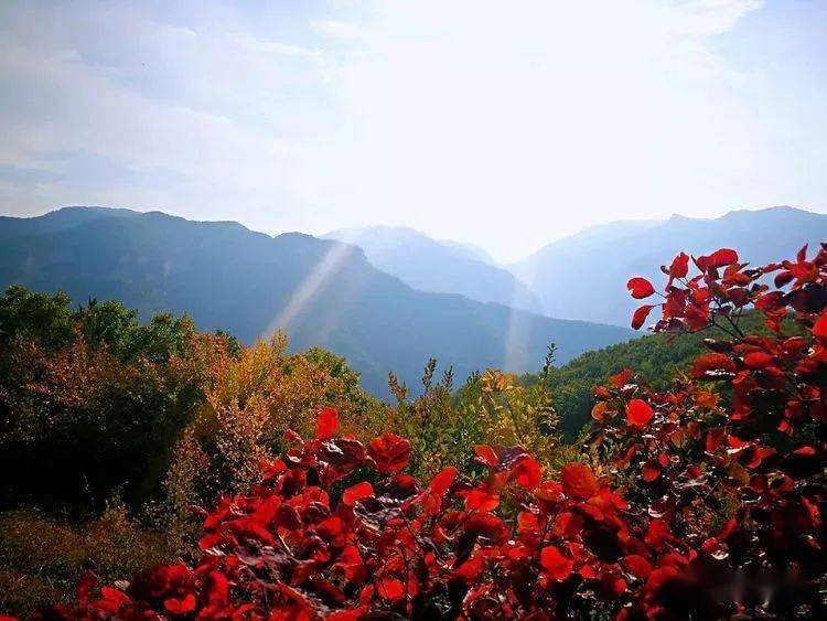 东樵| 为了武乡板山,不得不说