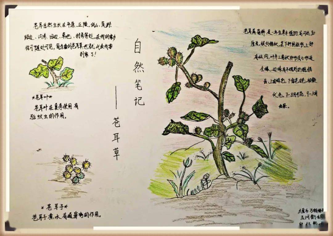 生物多样性看山西自然笔记大赛作品展七