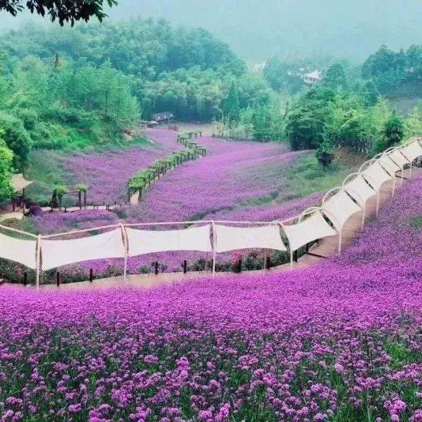 花水湾温泉度假村 天府花溪谷