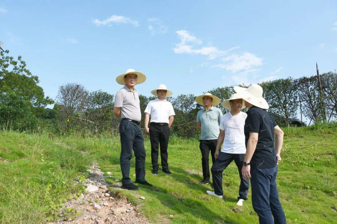 危岩现场调研工业园区雨水排口超标问题整改工作_铅山